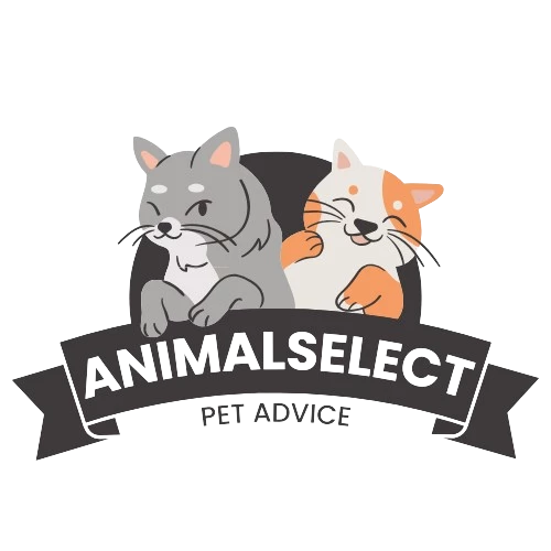 Screenshot voor project Animal Select