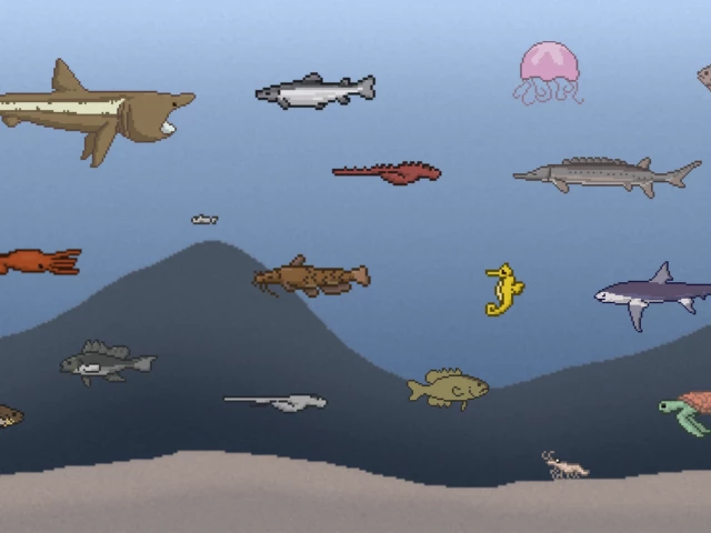Reefkeep