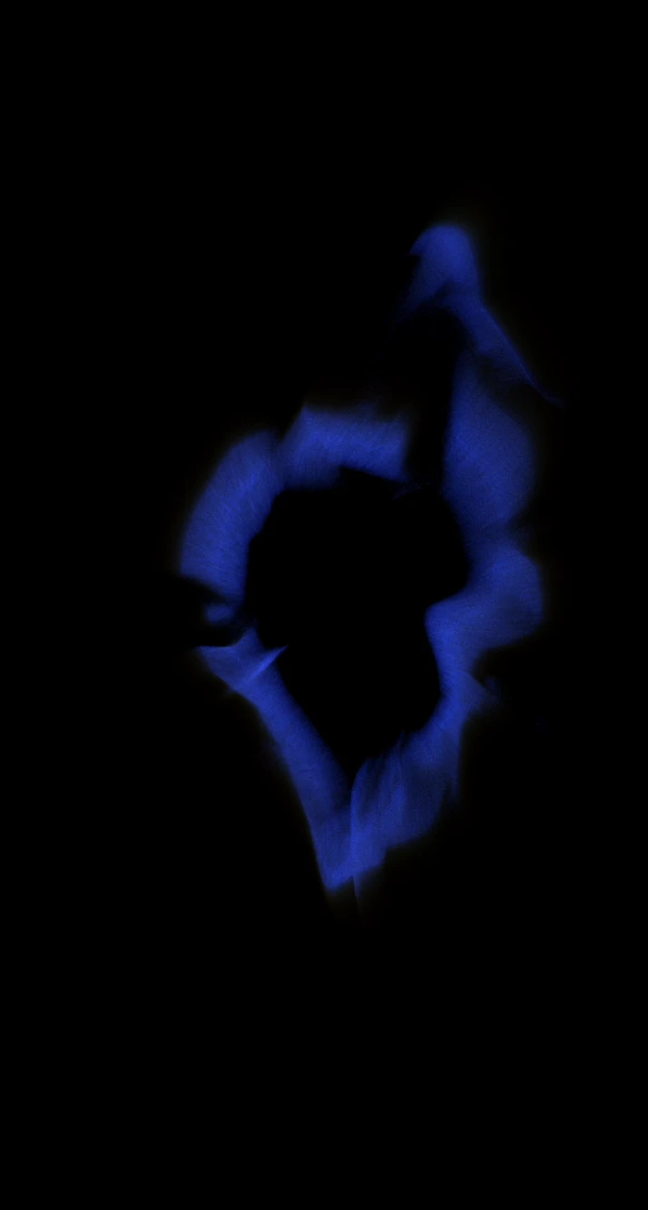 Screenshot voor project Handen vol trots