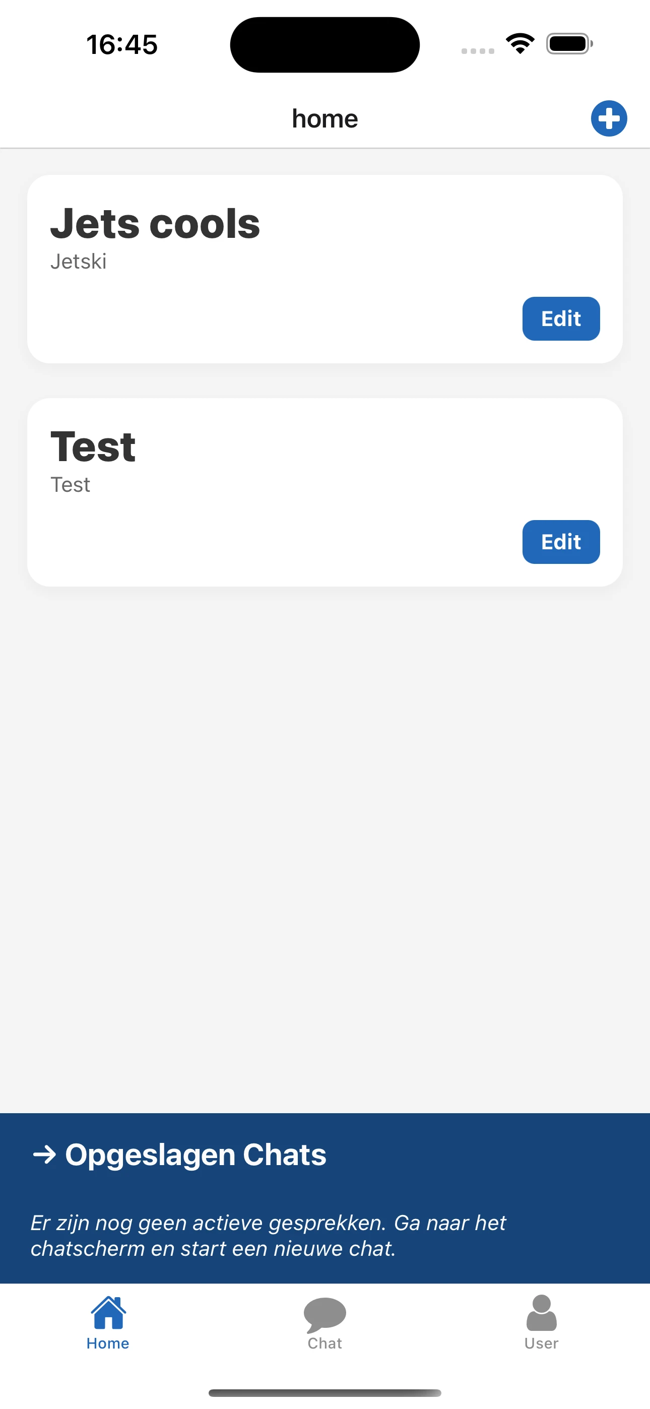 Screenshot voor project EricAI