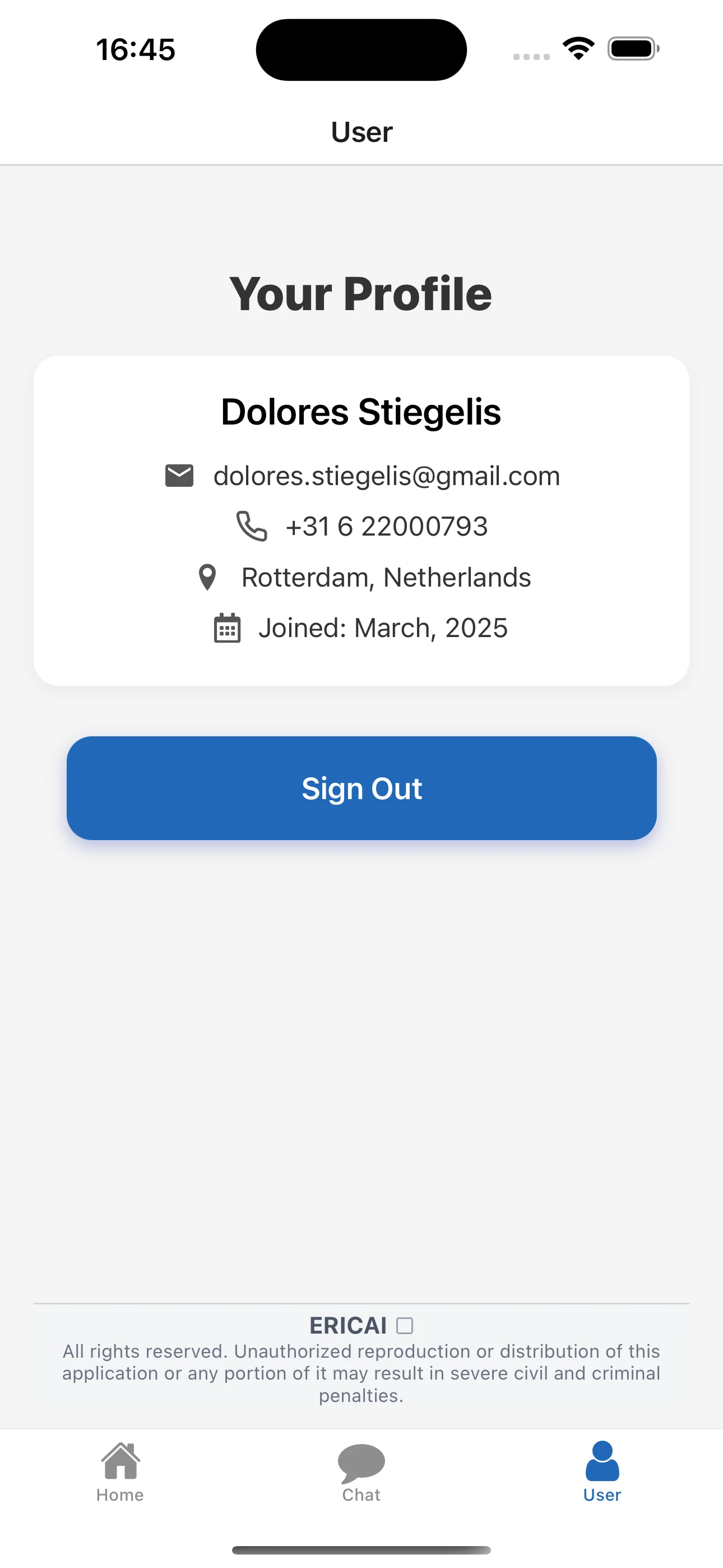 Screenshot voor project EricAI