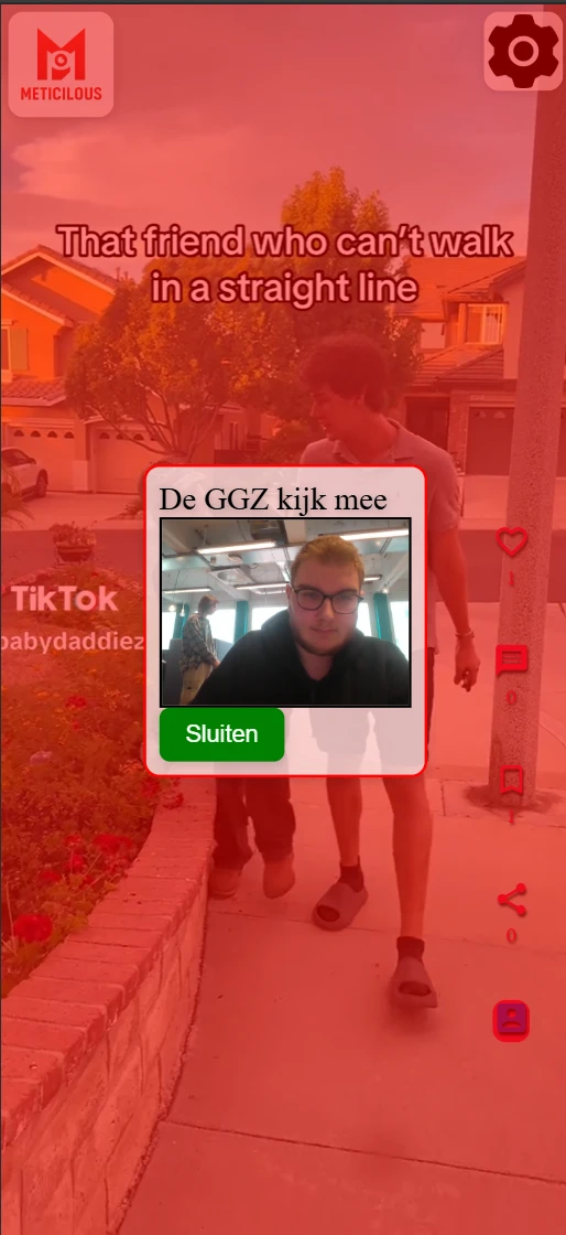 Screenshot voor project Meticilous