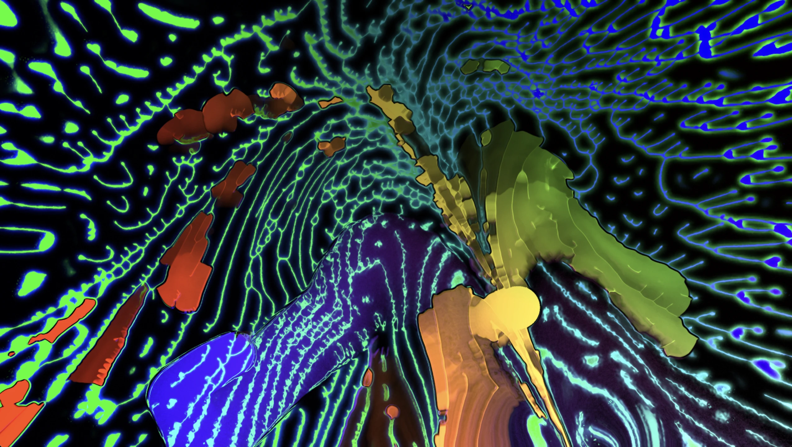 Screenshot voor project VizWiz