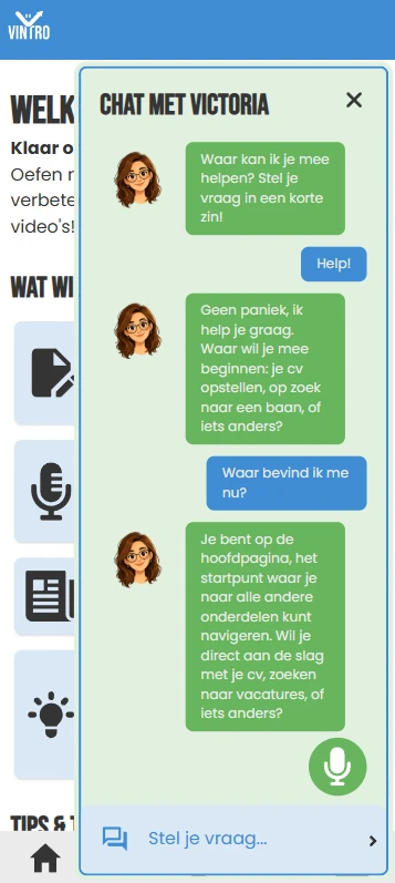 Screenshot voor project Vintro