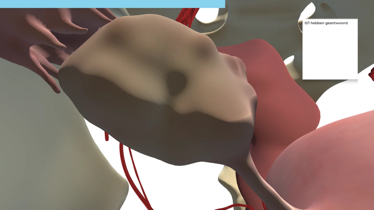 Screenshot voor project Waar Bekken Ik?