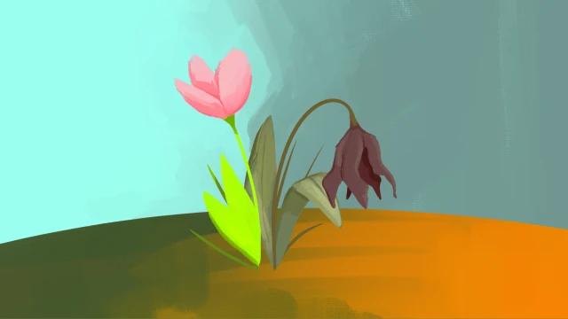 Afbeelding 6 van project Dungeon Mazes: Honour of Sprites