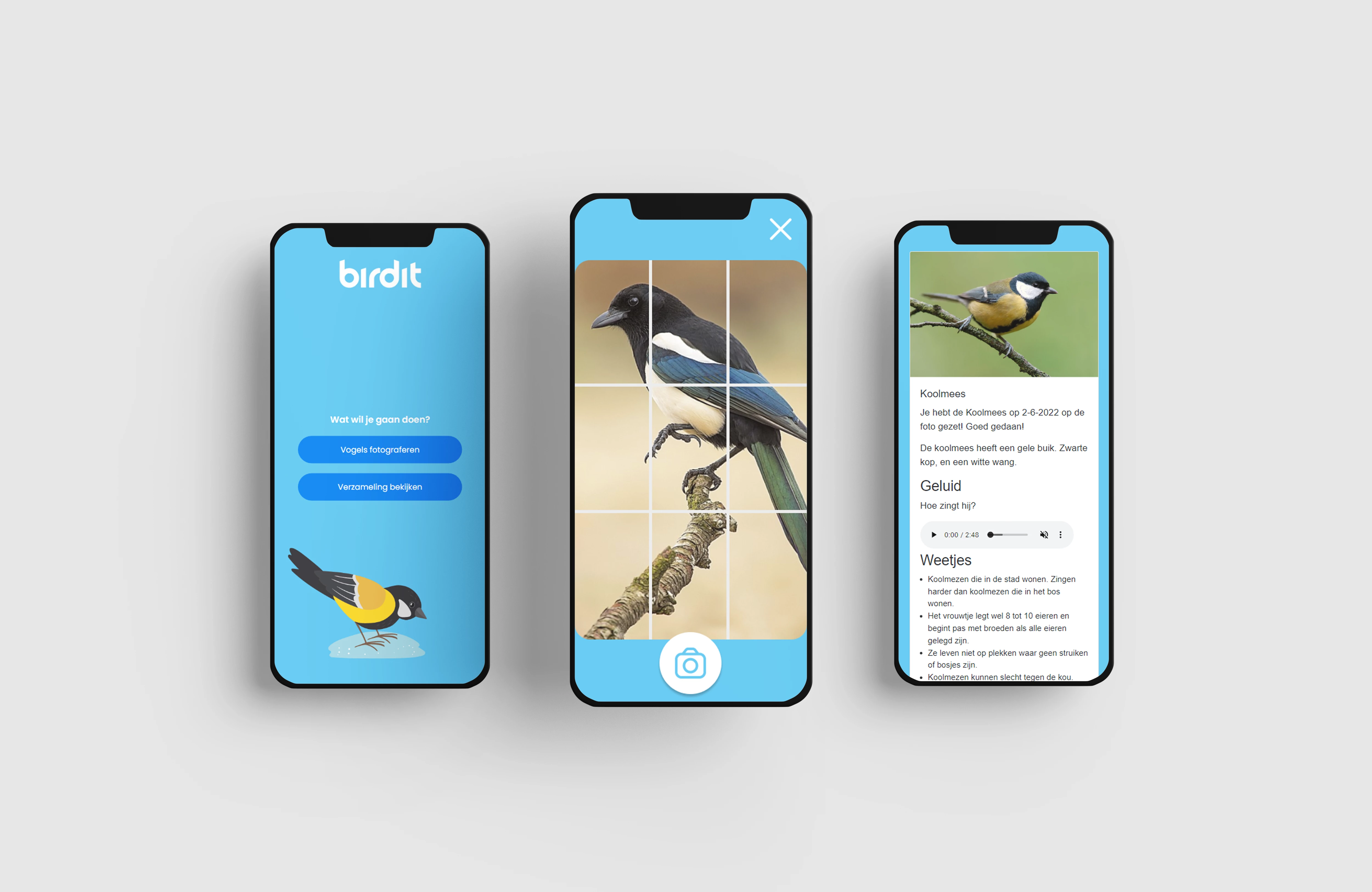 Screenshot voor project Birdit