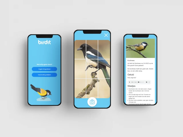 Screenshot voor project Birdit