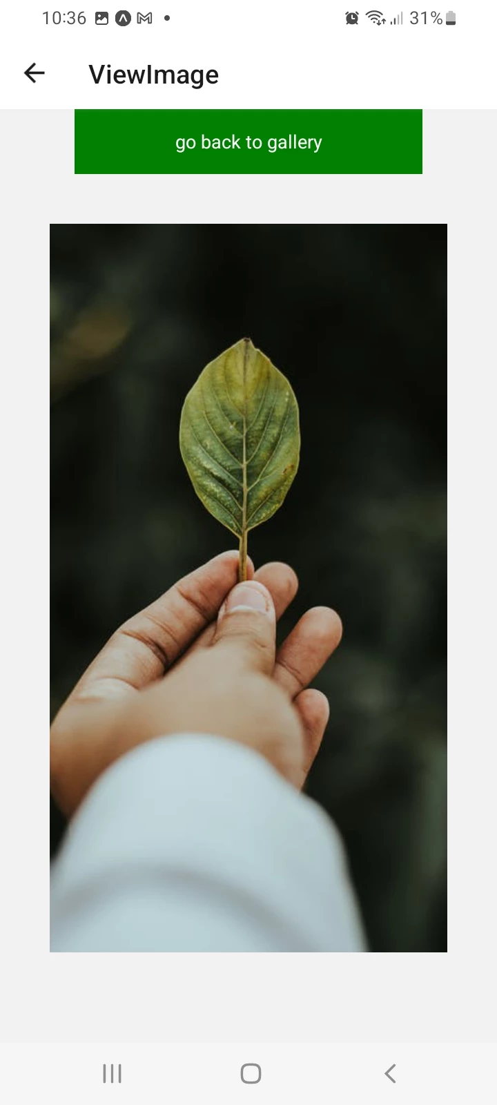 Screenshot voor project RoutEco