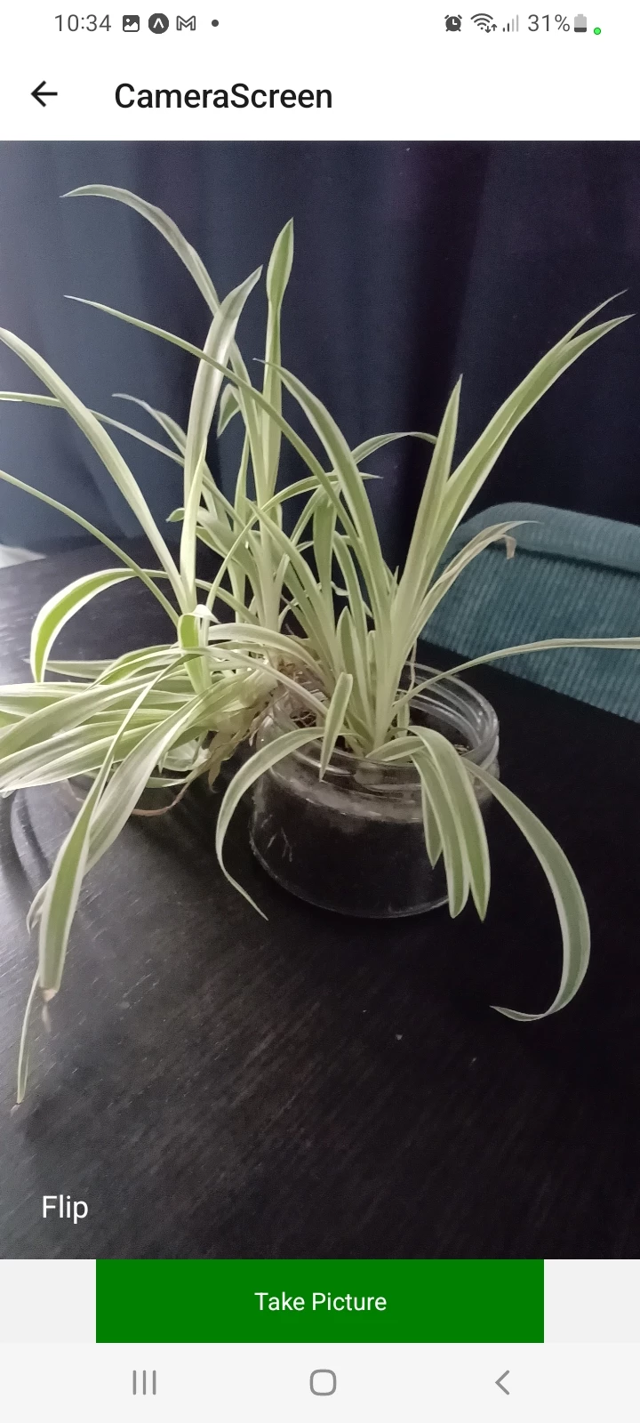 Screenshot voor project RoutEco